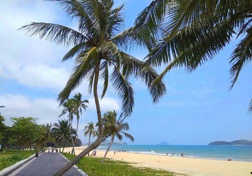 海南旅游最新爆料,秘境探险与海岛风情尽享之旅  第2张