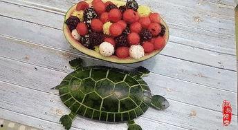 网红瓜怎么整的吃,轻松解锁美味新吃法  第2张